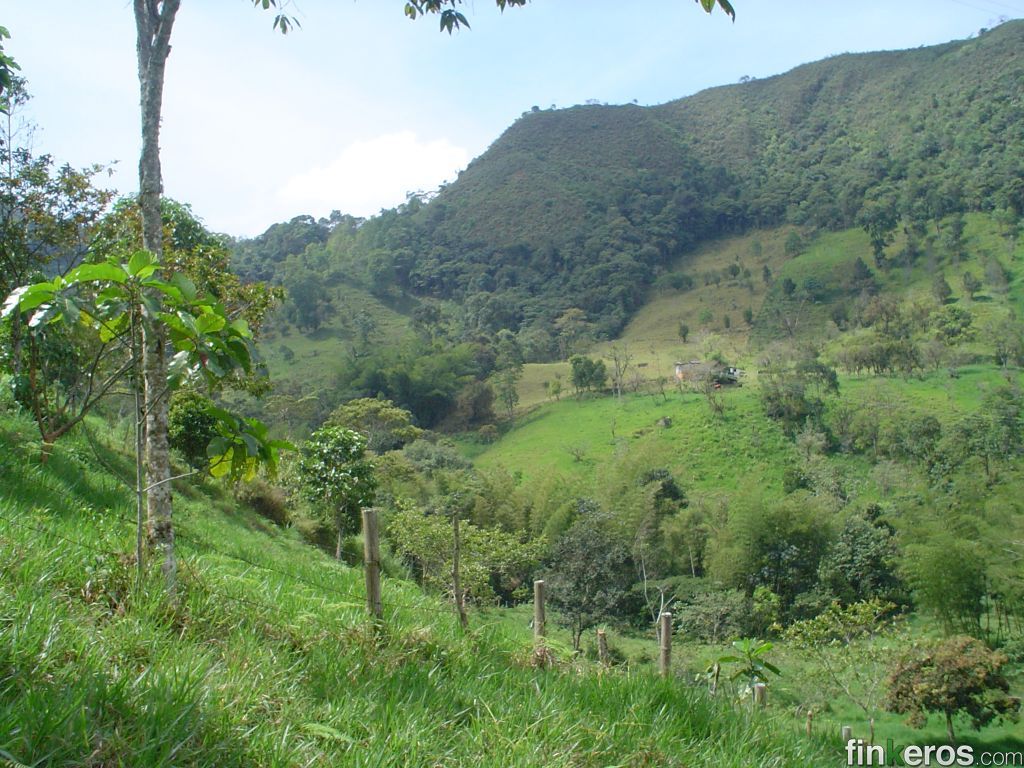 Finca en Venta en La Vega, Cundinamarca Venta de Fincas